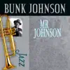 Mr. Johnson album lyrics, reviews, download