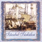 Bir Şarkıdır Yaşamak İstanbul Türküleri, Vol. 2 artwork