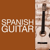 Spanish Guitar Instrumental Music artwork
