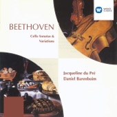 Beethoven: Cello Sonatas & Variations artwork