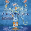 Ceremony: Remixes & Rarities, 2003