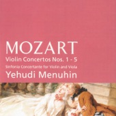 Violin Concerto No. 1 in B flat major, K. 207: I. Allegro moderato] artwork
