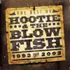 The Best of Hootie & The Blowfish (1993-2003) album lyrics, reviews, download