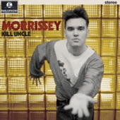 Morrissey - The Harsh Truth of the Camera Eye