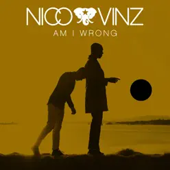 Am I Wrong - Single - Nico & Vinz