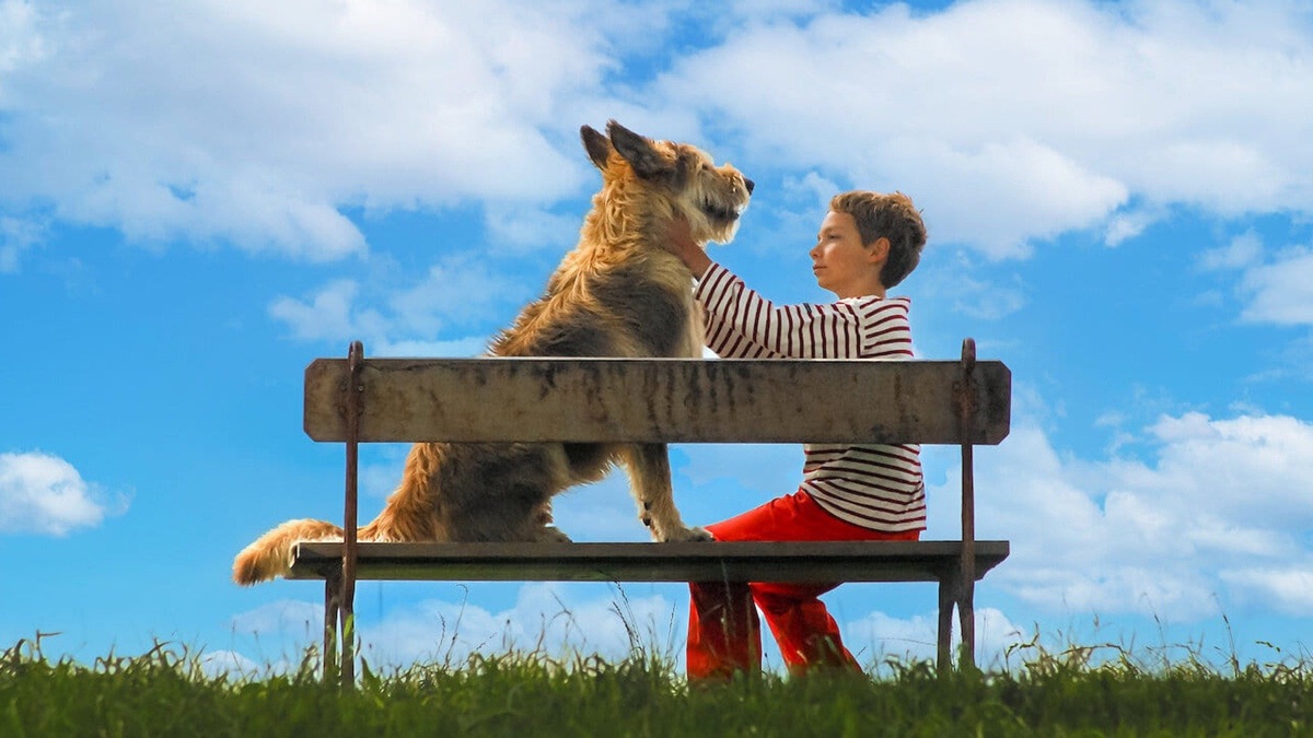 Mr. Woof Apple TV (AT)