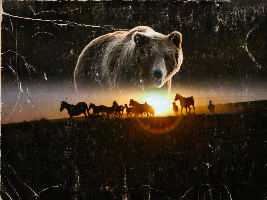 Tian Shan Land Of Bears And Horses | Apple TV