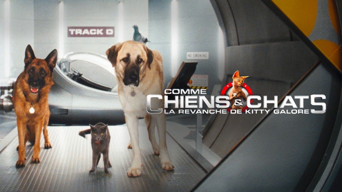 Comme Chien Et Chat Film Complet