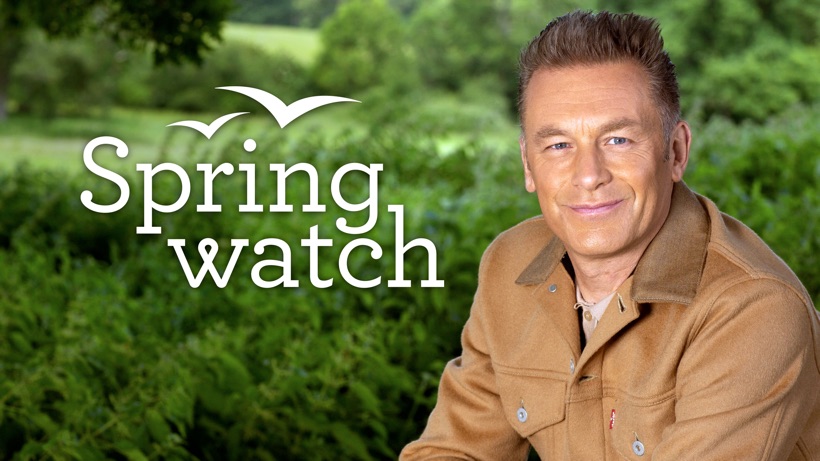 Springwatch