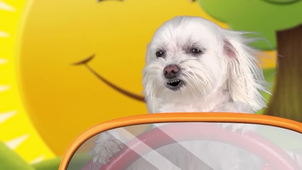 Pup School Jr. ABC's Apple TV