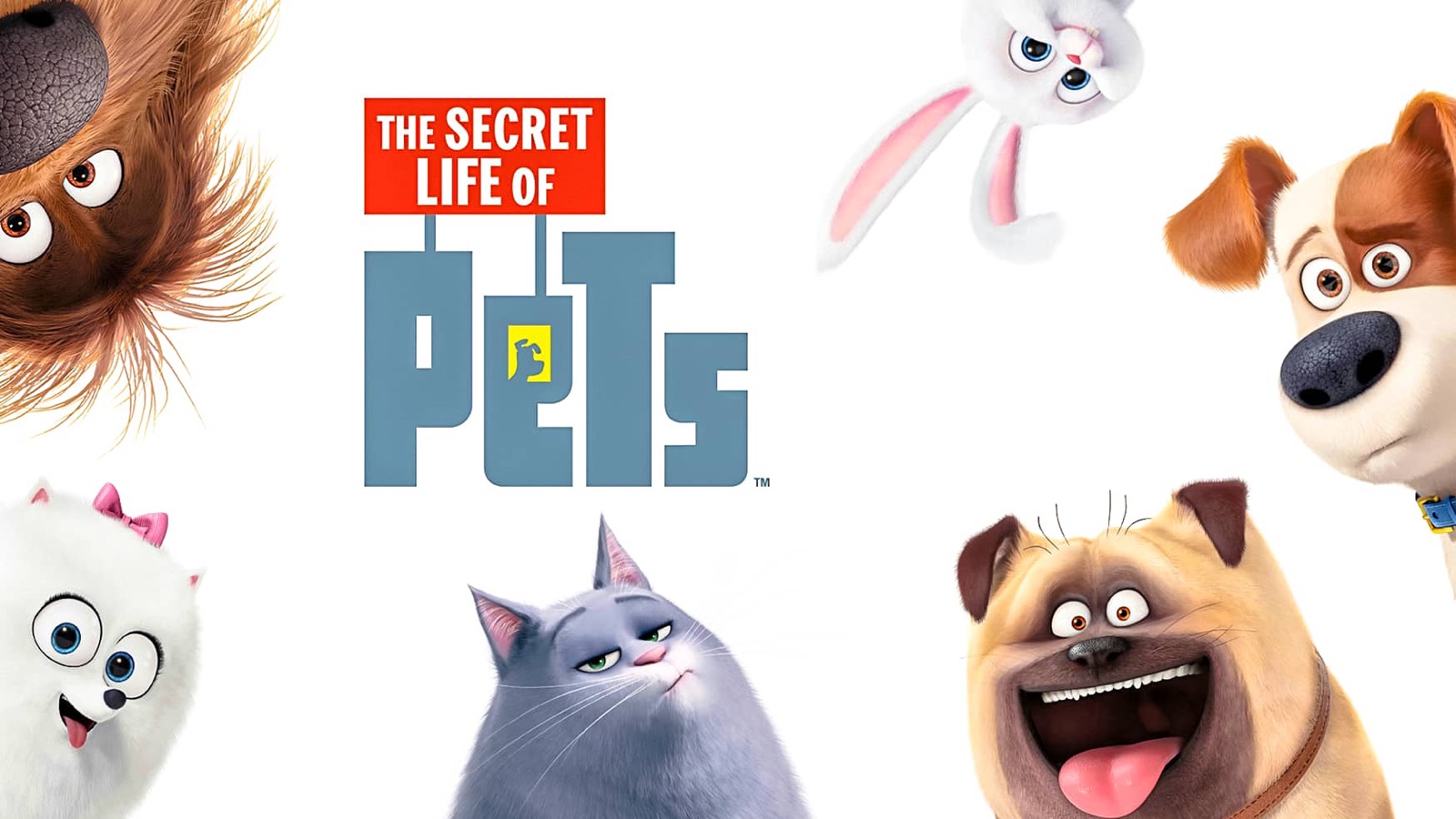 The Secret Life of Pets downloading