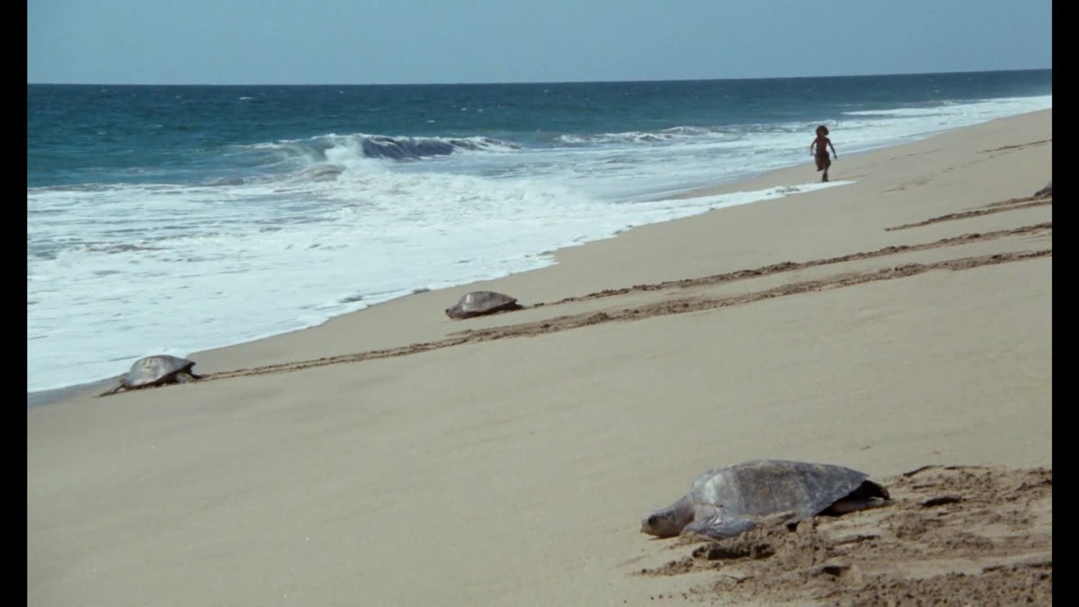 La Isla Encantada Apple TV (MX)