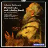 Mattheson, J.: Liebreiche Und Geduldige David (Der) [Oratorio] album lyrics, reviews, download