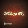 Awaken Me album lyrics, reviews, download