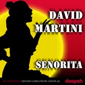 Senorita (Club Mix) artwork