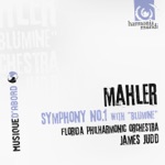 Symphony No 1 in D major