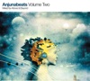 Anjunabeats Volume 2, 2004