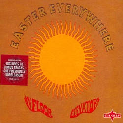13th Floor Elevators - Slip Inside This House