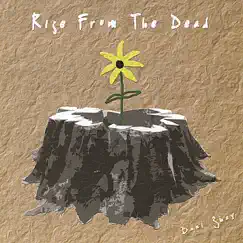Rise From The Dead by Dani Shay album reviews, ratings, credits
