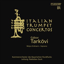 Gabor Tarkovi, Bavarian Radio Chamber Orchestra & Radoslaw Szulc - Concerto for Oboe and Violin In B Flat Major, RV 548 : I. Allegro