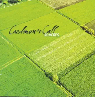 Faith My Eyes by Caedmon's Call song reviws