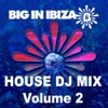 House: DJ Mix, Vol. 2