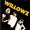 The Willowz, 2004