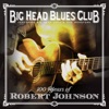100 Years of Robert Johnson (feat. Big Head Todd & The Monsters), 2011