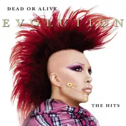 Evolution: The Hits - Dead Or Alive