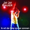 Ik Wil de Hele Zomer Zonnen - Single