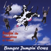 Bungee Jumpin' Cows - One of These Days