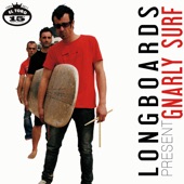 Long Boards - Del Surf