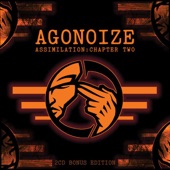 Paranoid Destruction by Agonoize