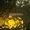 Transparent Motives (feat. Dan D) - EP album lyrics, reviews, download