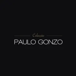 Colecção Paulo Gonzo - Paulo Gonzo