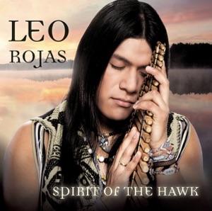 Spirit of the Hawk