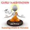 Guru Meditation (Radio Single) - Single