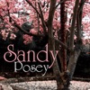 Sandy Posey