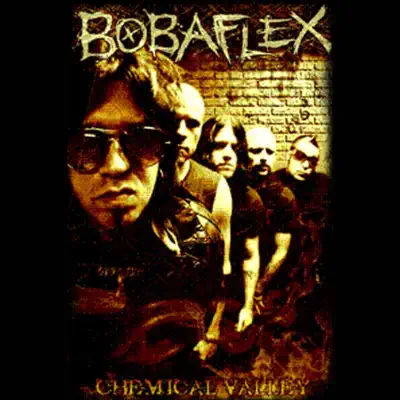 Chemical Valley - Bobaflex