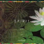 Spirit: Art of Healing