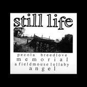 Still Life - Broken Boy