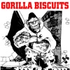 Gorilla Biscuits, 1988