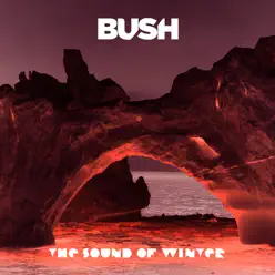 The Sound of Winter - Single - Bush