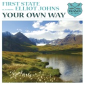 Your Own Way (First State's Radio Edit) artwork