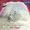 Nina Hagen - Geburt