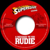A Message to You Rudie Riddim (Bonus Edition) artwork