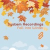 System Recordings - Fall Into Winter