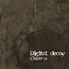 Digital decay - I Should Have Known