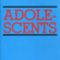 Amoeba - Adolescents