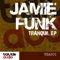 Dont Come Around - Jamie Funk lyrics